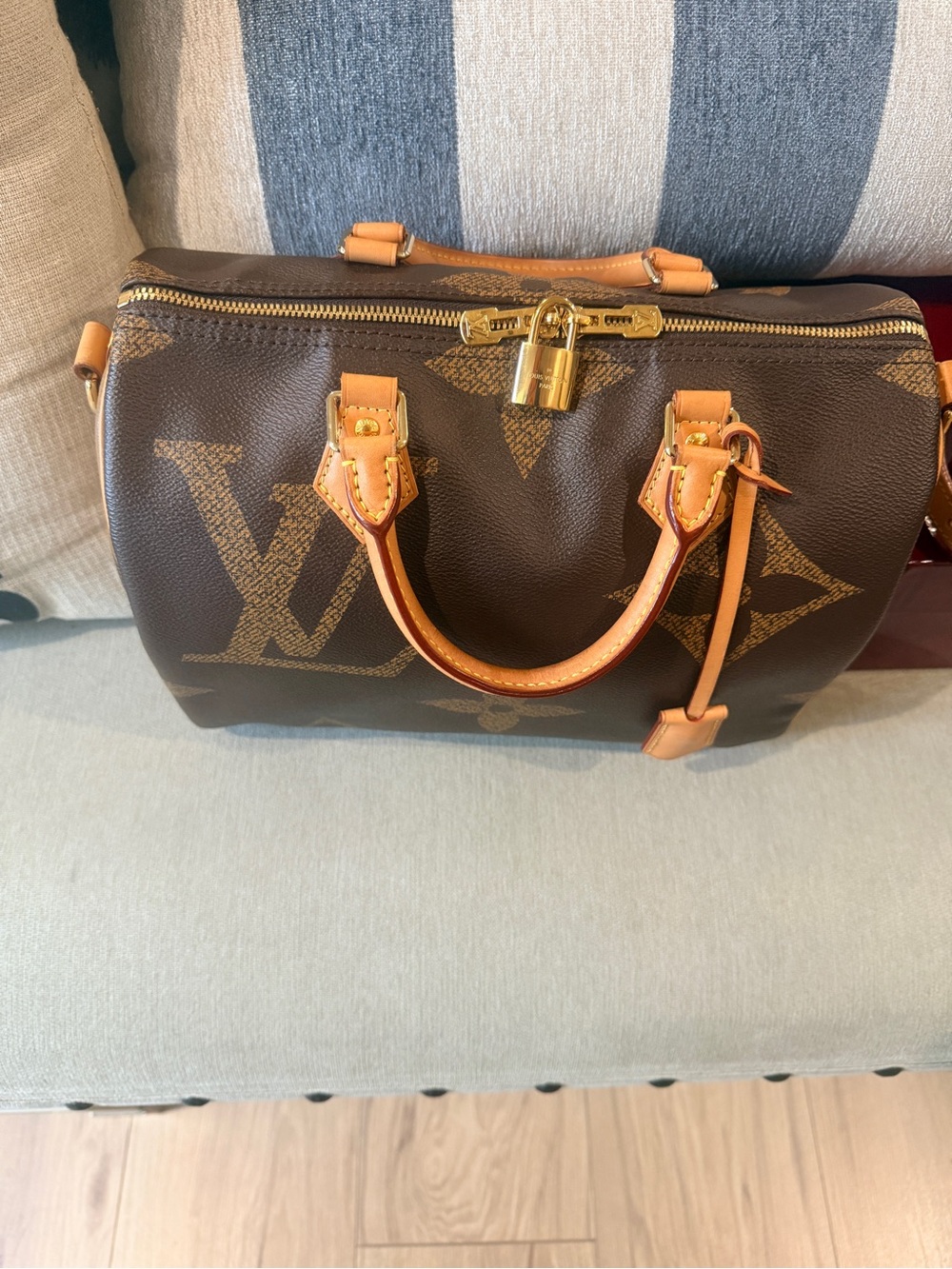 Louis Vuitton Speedy Giant Reverse Monogram